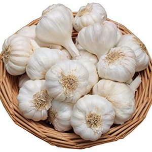 Thailand Low Price Fresh Garlic White Bag Crop Style Time June Food Newest Color Package Weight Normal Net Origin Type Shandong