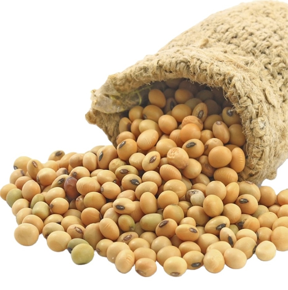 Excellent Quality Soyabean / Soybeans Seeds / Soy bean Bulk Customized Package Organic Dried High Protein soya beans