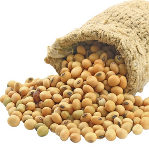 Excellent Quality Soyabean / Soybeans Seeds / Soy bean Bulk Customized Package Organic Dried High Protein soya beans