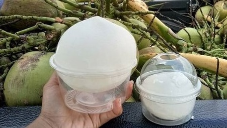 Thai Young Coconut Fresh  Frozen Meat Naked Coconut Snowball 100% Natural Sweet Taste Coconut Water