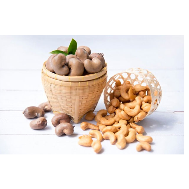 Wholesale Best Quality Cashew Nuts Vietnam Roasted Cashew Nuts Finished Product Salt Roasted Cashew Good Price