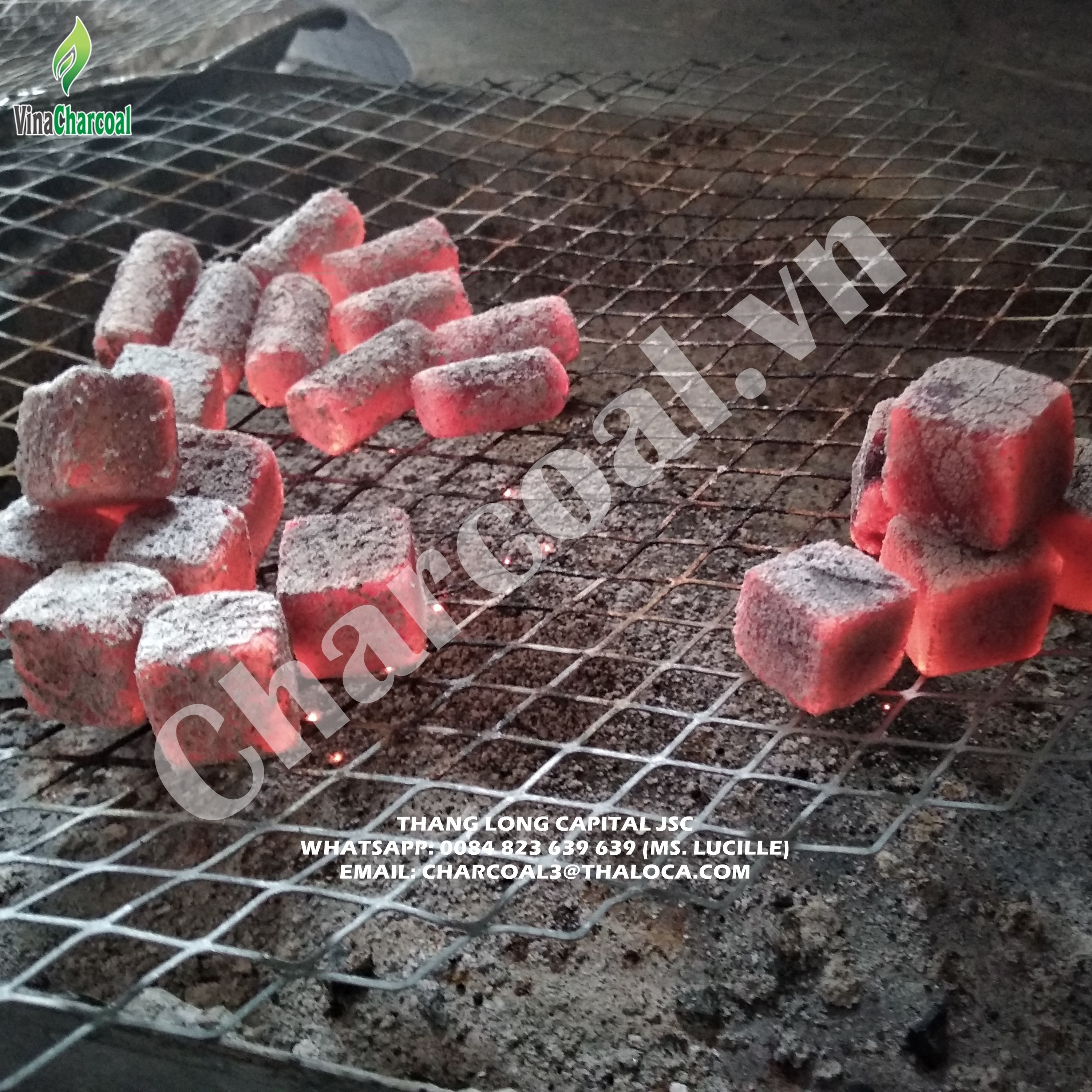 Coconut Charcoal Cubes for Incense Burning