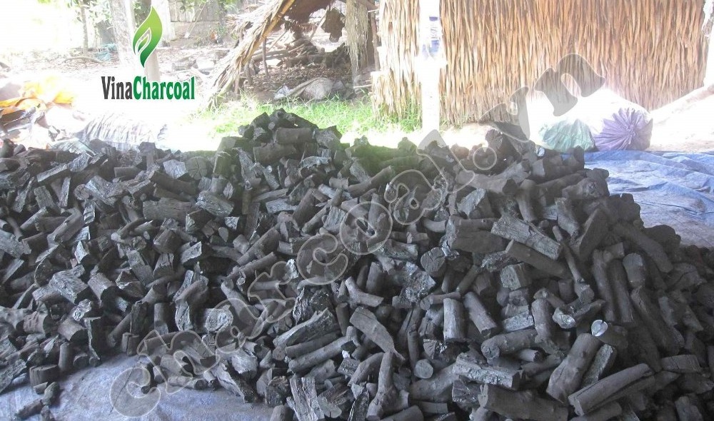 Hot Eucalyptus charcoal for BBQ restaurants with attractive price