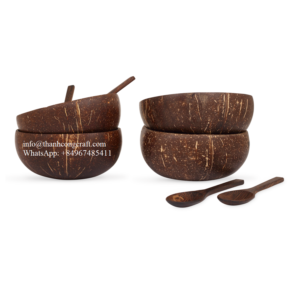 Best selling products 2020 FBA Amazon Stocked Natural Coconut Shell Bowls Set