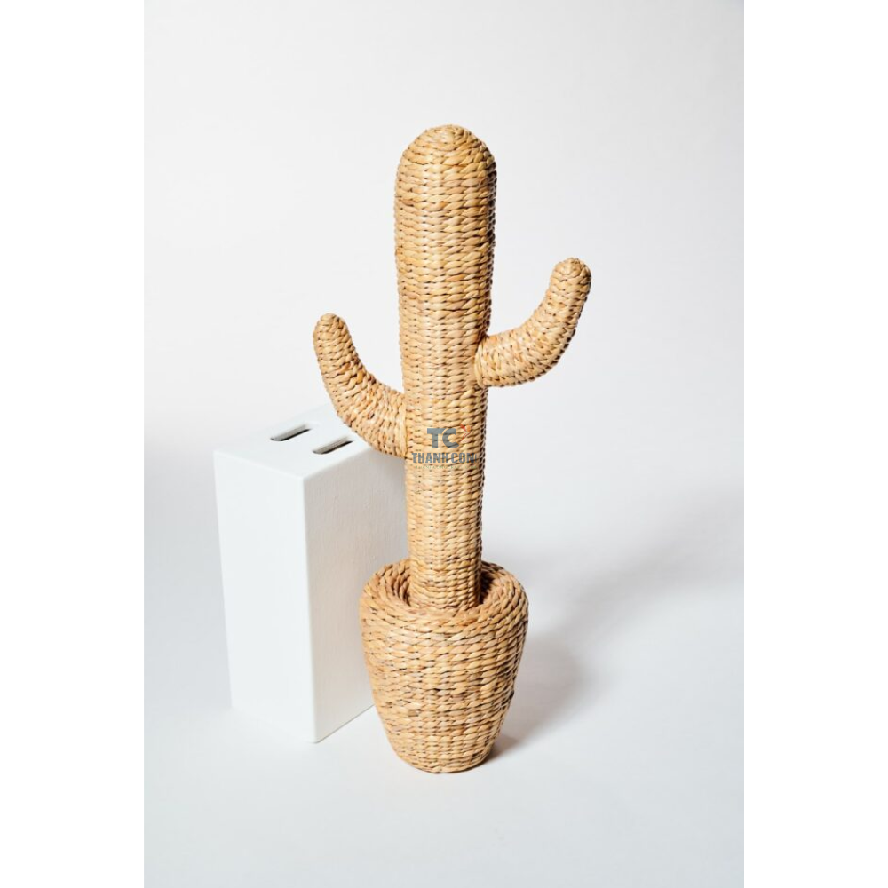 Hand Woven Home Decoration Natural Exotic Decorative Cactus Planter Eco Friendly Water Hyacinth Cactus Decor Ornaments