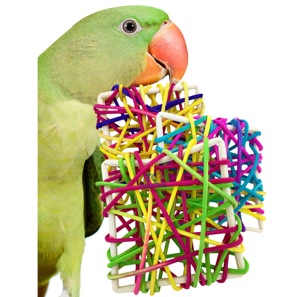 High Quality Manufacturers Wholesale Parrot Bird Toy Pet Toy Natural Color Set Bird Swing Climbing Ladder Stand