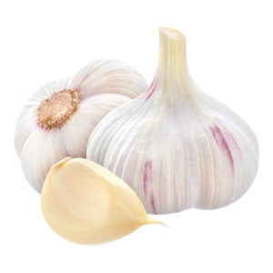 Garlic - Vietnam Spices - Garlic Supplier New 2023 Crop - Vietnam Garlic, Cheap New Garlic, Pure White 10 Days 2 Years 5 Cm