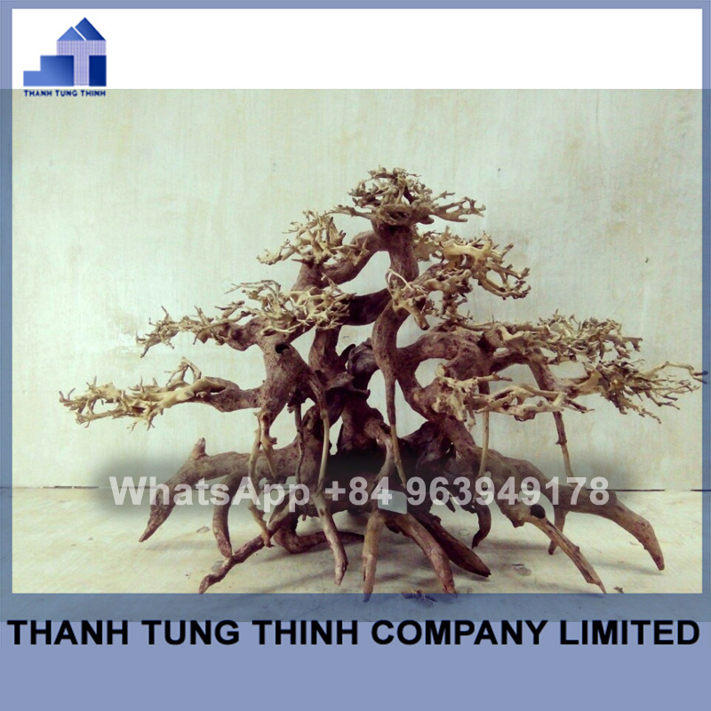 Hot Design 2023 Bonsai Driftwood Mangrove for Decoration WhatsApp +84 961005832