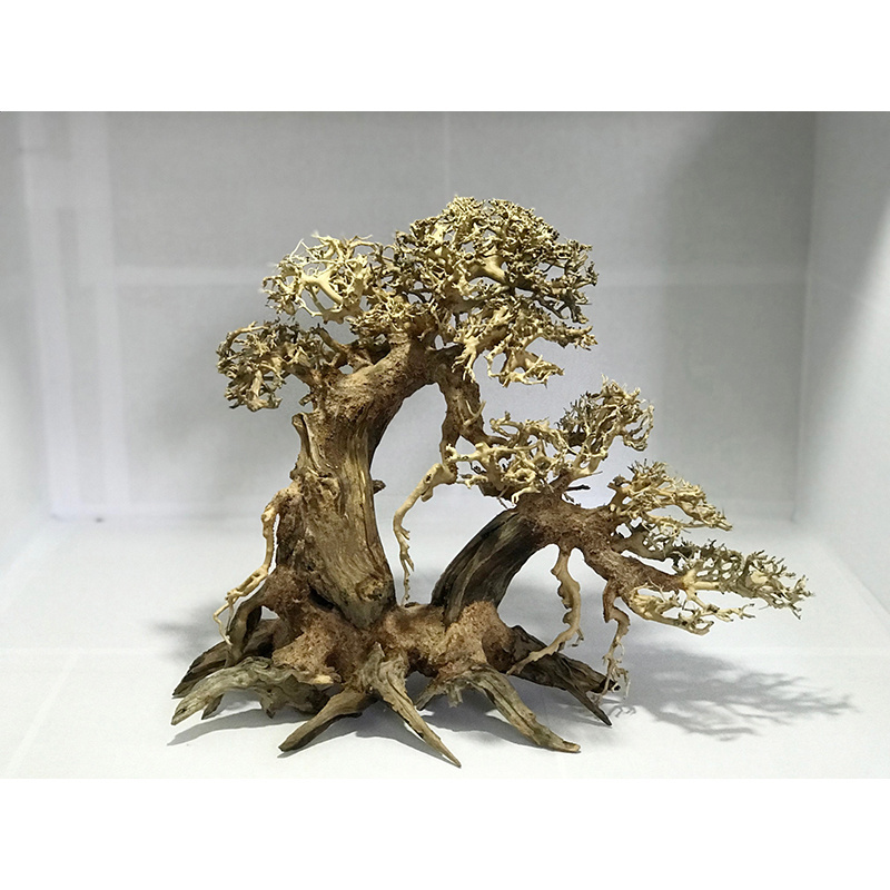 Hot Design 2023  wood decorative mangrove bonsai tree driftwood for aquarium decoration WhatsApp + 84 937545579