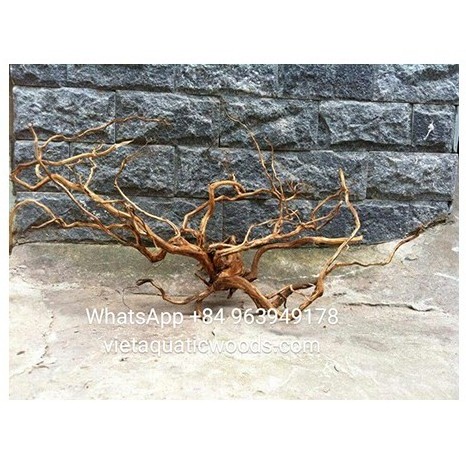 Aquarium driftwood Natural Driftwood Tree for Fish Tank Ornament 2023 WhatsApp +84 963 949 178