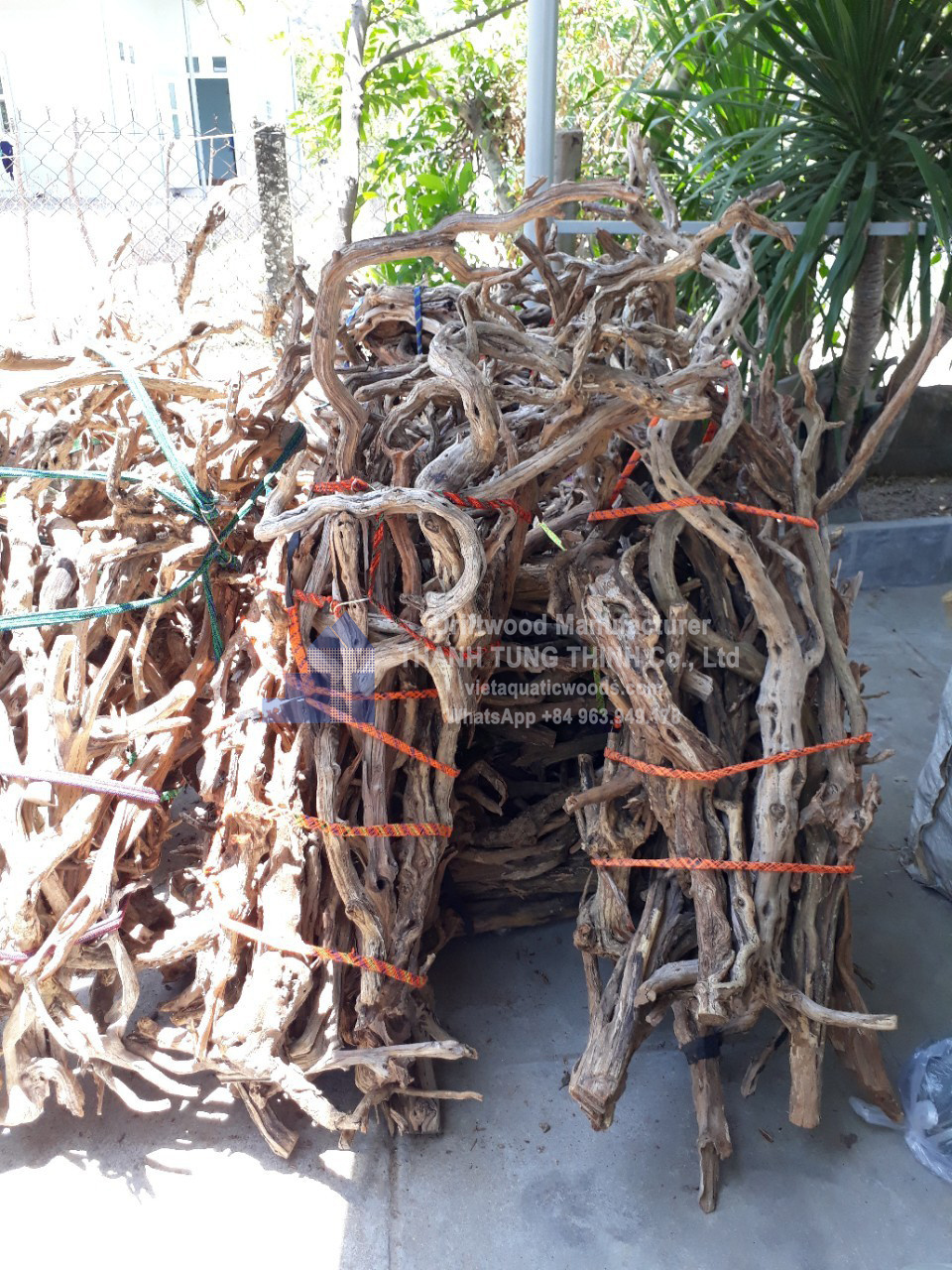 Natural Driftwood From Vietnam for aquarium, gardening, landscaping