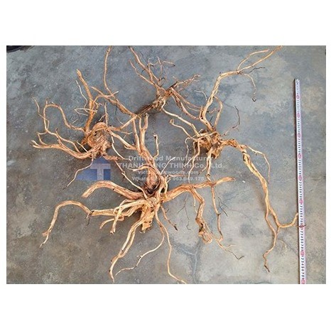 Aquarium driftwood Natural Driftwood Tree for Fish Tank Ornament 2023 WhatsApp +84 963 949 178