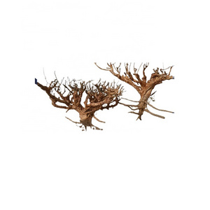 Hot items Natural driftwood roots wholesale for fish aquarium decorations WhatsApp +84 963 949 178