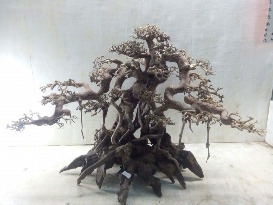 2023 Bonsai driftwood for fish tank aquarium decoration accessories OEM accept WhatsApp +84 961005832