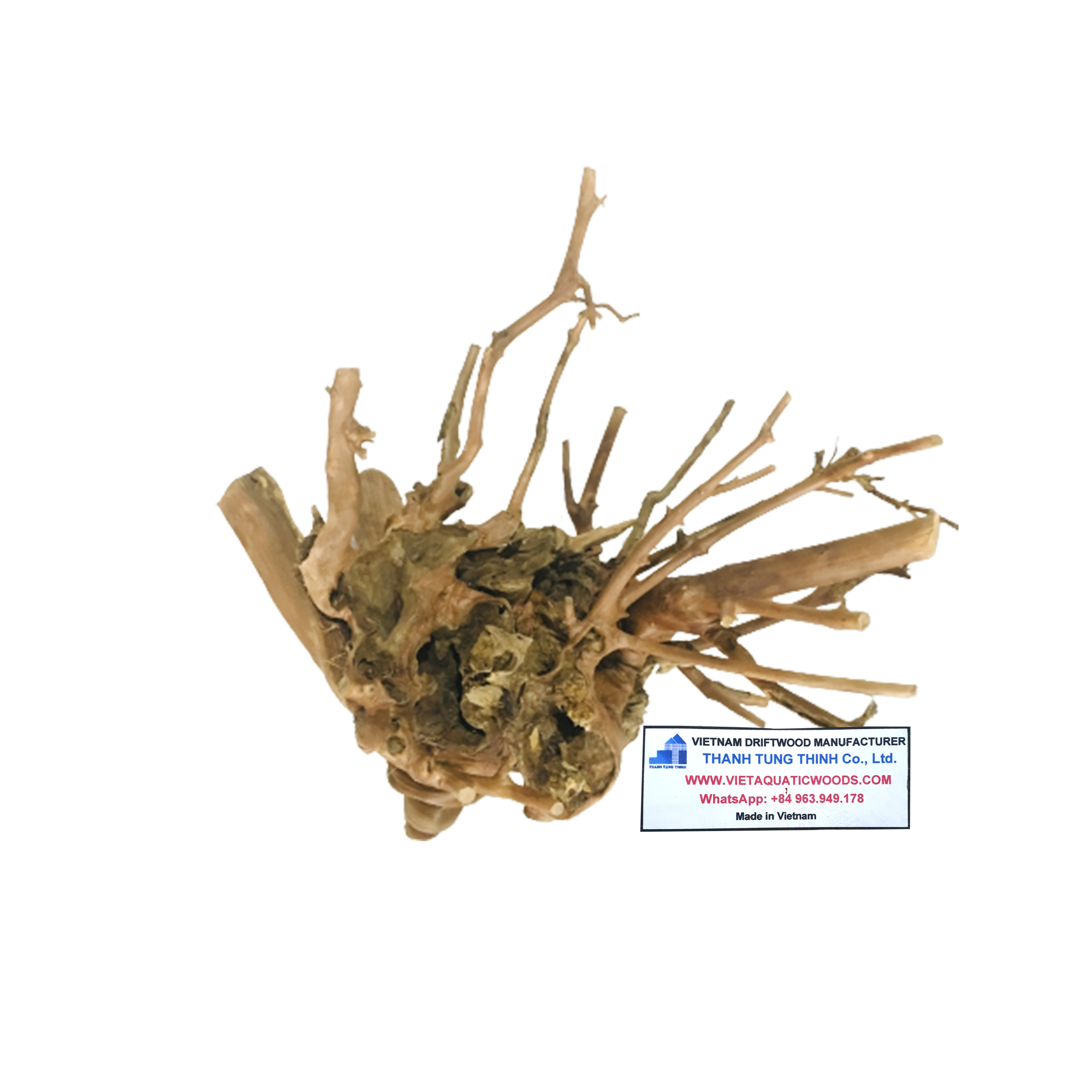 Hot deal Natural Driftwood for  fish tank accessories Aquarium Set Up WhatsApp +84 961005832