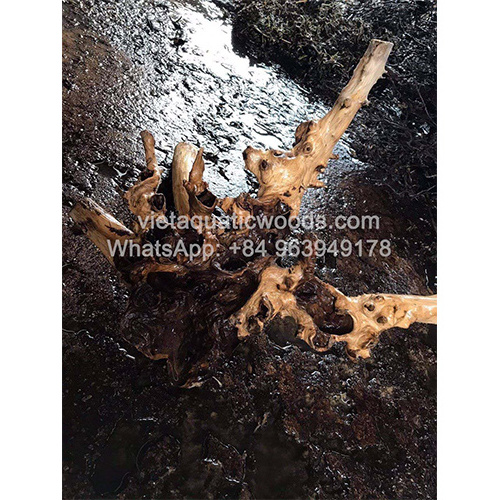 Natural driftwood root aquarium stand For Fish Tank Decoration WhatsApp +84 963 949 178