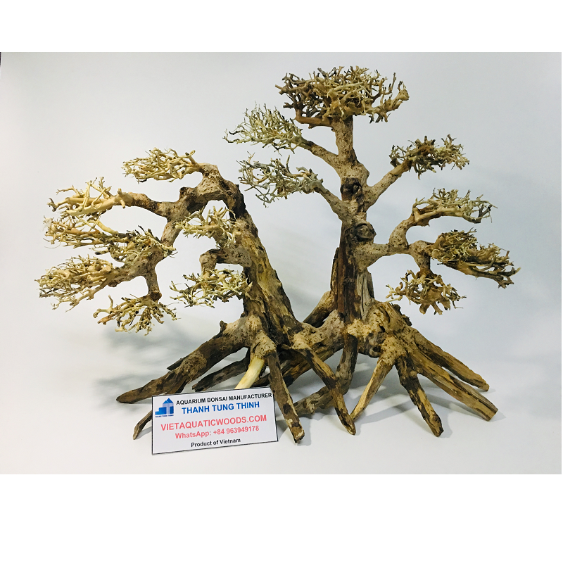 2023 Bonsai Driftwood Aquarium Driftwood Tree for Aquarium Decoration WhatsApp: +84 961005832