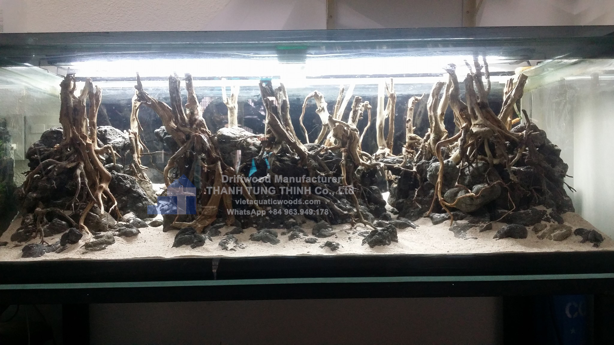 Natural Driftwood From Vietnam for aquarium, gardening, landscaping