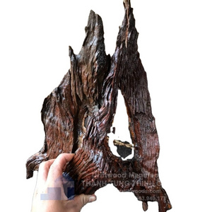 Best seller 2024 SANDA natural driftwood for  your aquarium decor tank Vietnam factory wholesale WhatsApp: +84 961005832