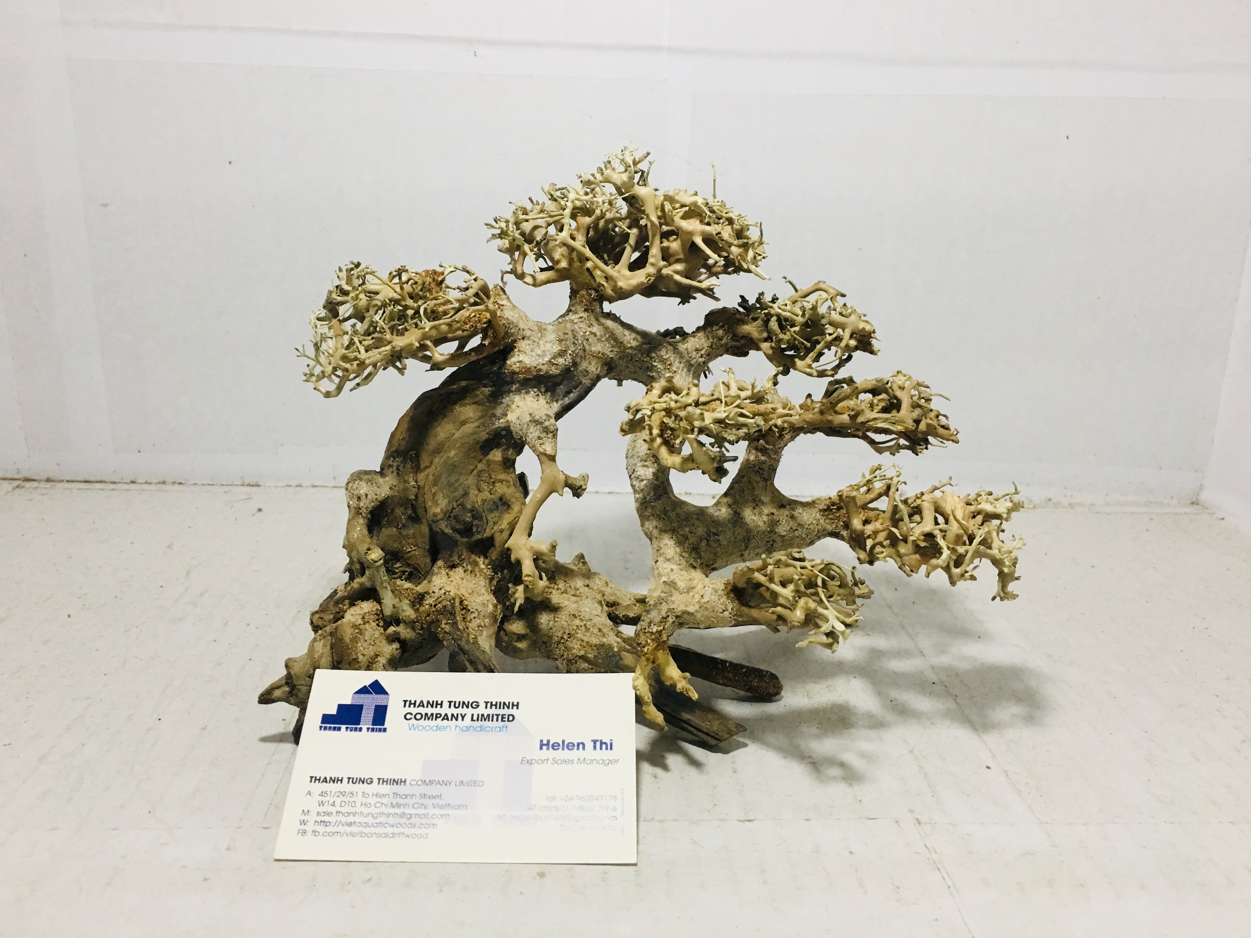 Mangrove root and driftwood Bonsai driftwood Aquarium Tree for aquarium WhatsApp: +84 961005832