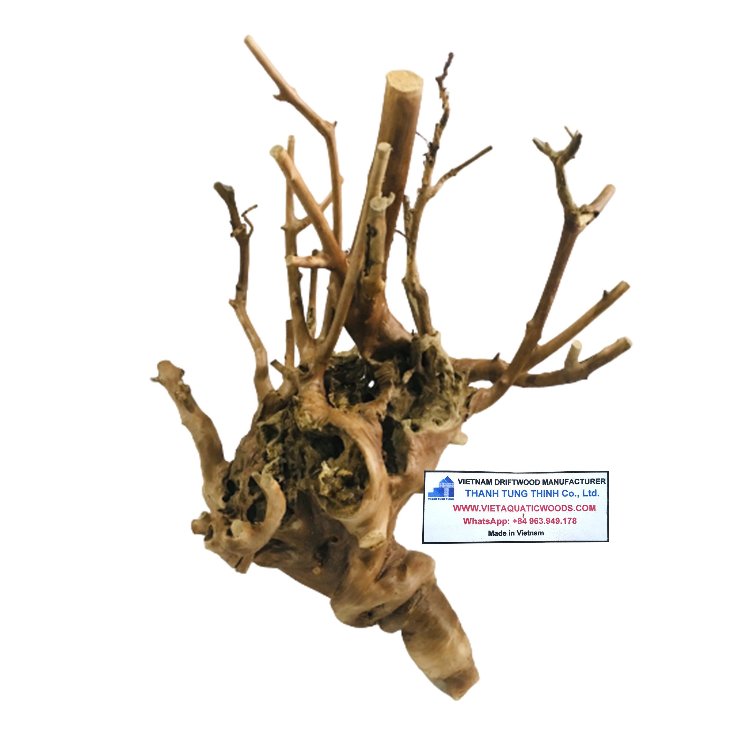 Hot deal Natural Driftwood for  fish tank accessories Aquarium Set Up WhatsApp +84 961005832