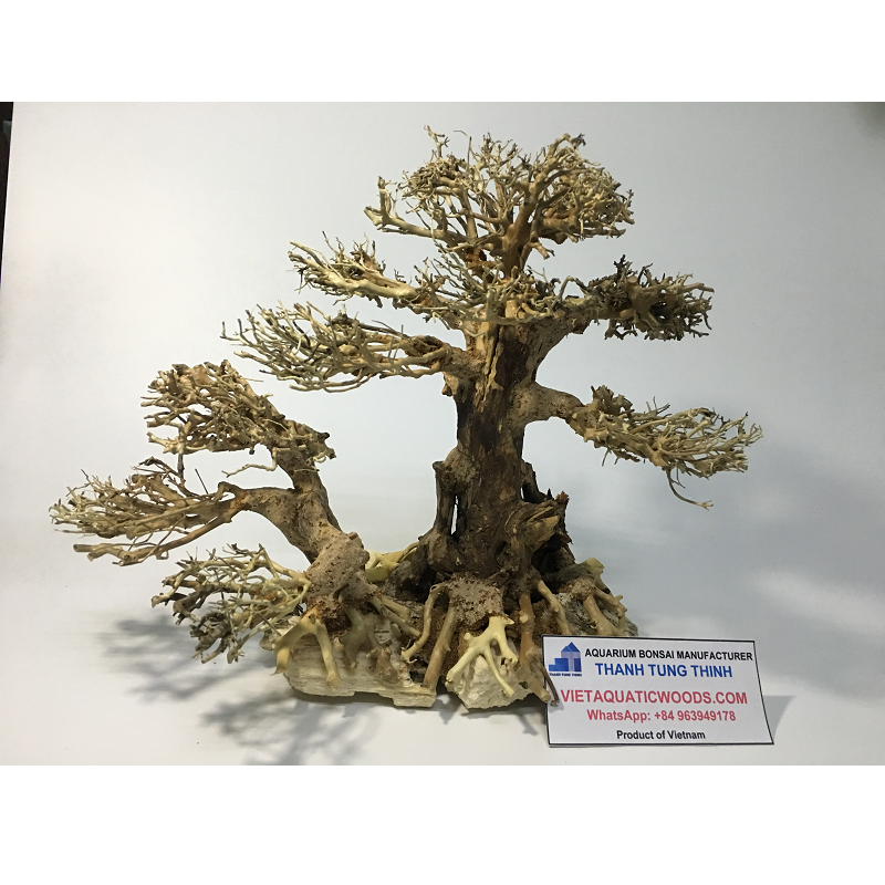 2023 Bonsai Driftwood Aquarium Driftwood Tree for Aquarium Decoration WhatsApp: +84 961005832