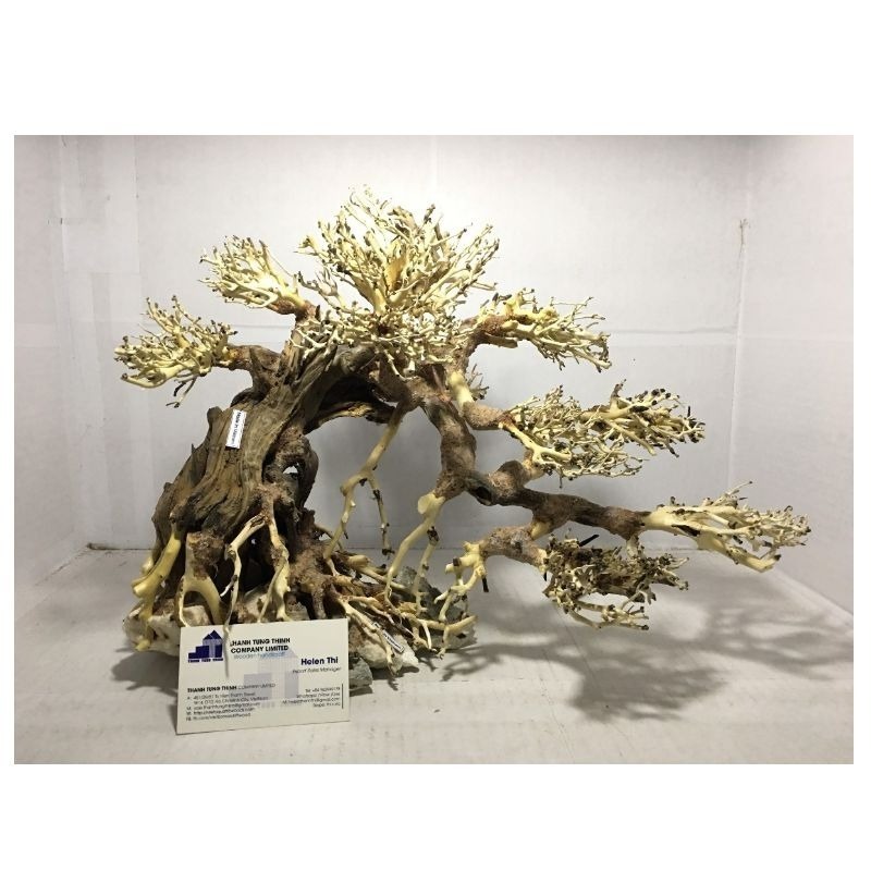 Hot Design 2023 Bonsai Driftwood Mangrove for Decoration WhatsApp +84 961005832