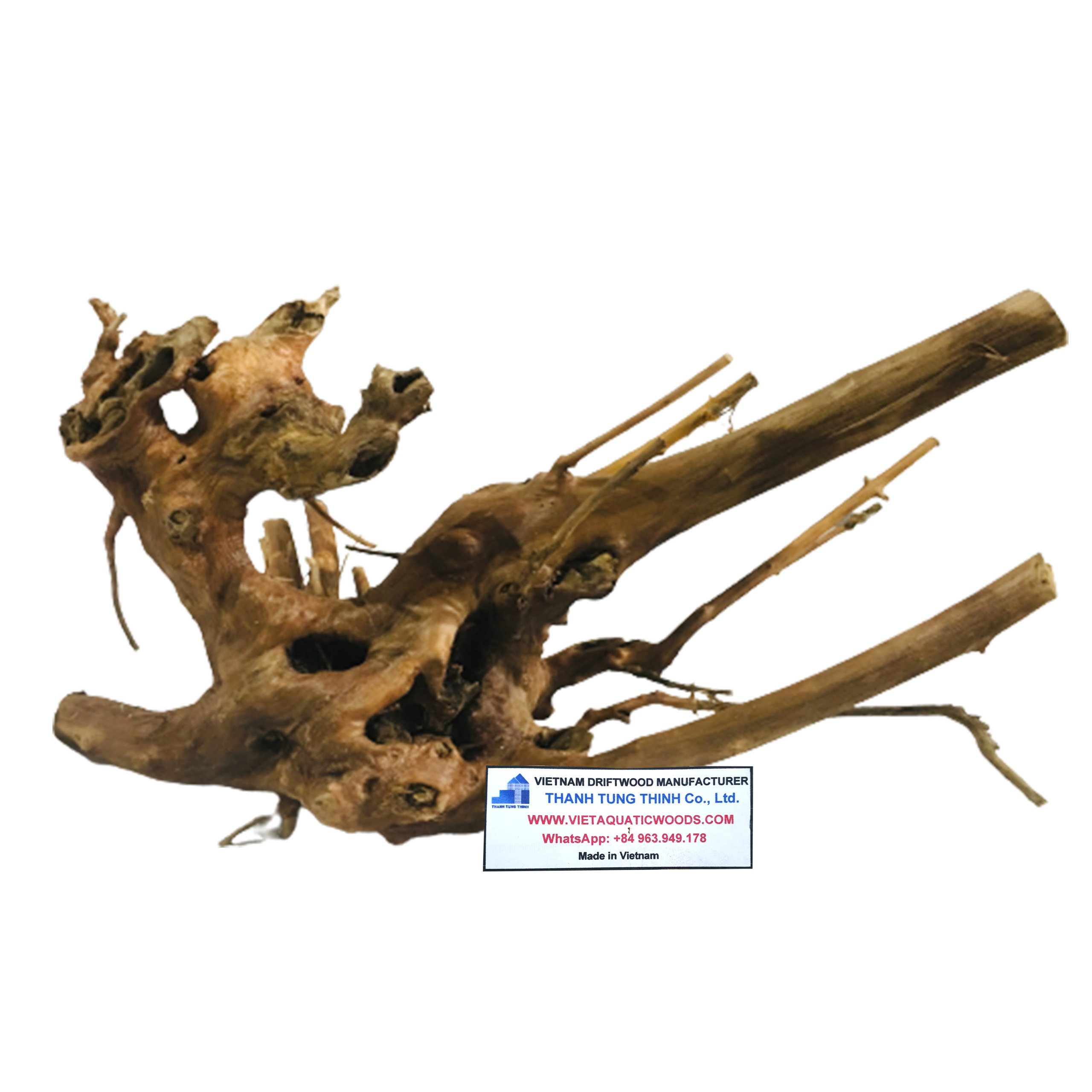 Hot deal Natural Driftwood for  fish tank accessories Aquarium Set Up WhatsApp +84 961005832