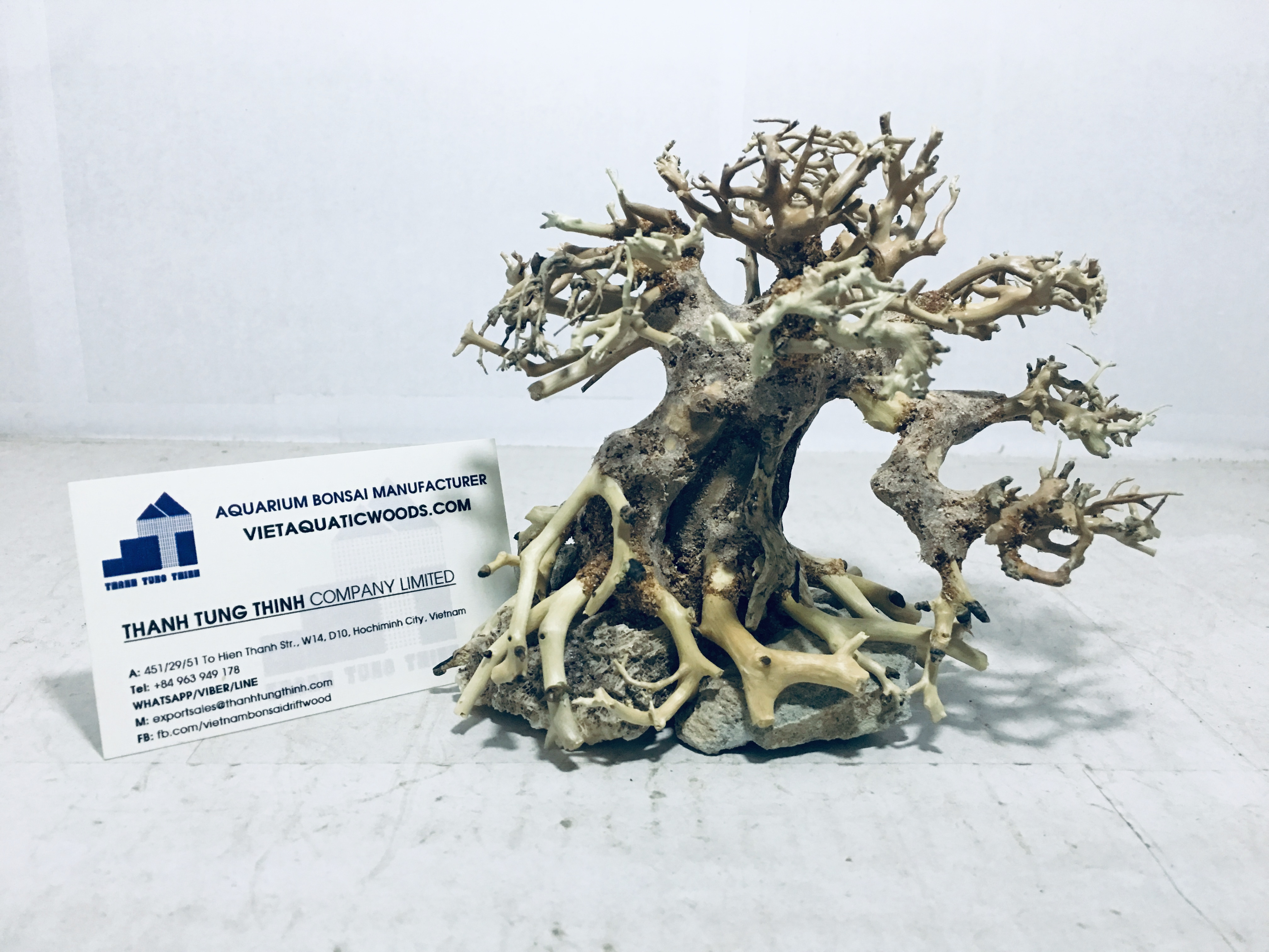 Mangrove root and driftwood Bonsai driftwood Aquarium Tree for aquarium WhatsApp: +84 961005832