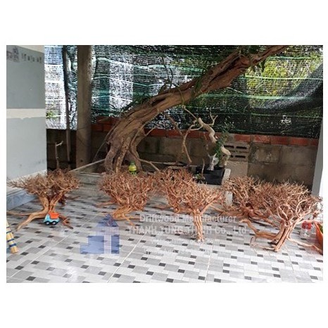 Hot items Natural driftwood roots wholesale for fish aquarium decorations WhatsApp +84 963 949 178