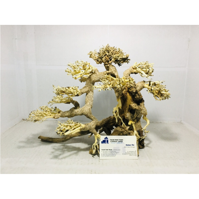 2023 Hot Items Aquarium bonsai driftwood for live plant tank Aquarium decoration WhatsApp +84 961005832