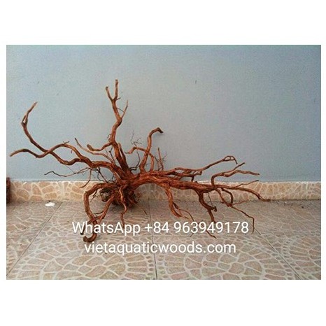 Aquarium driftwood Natural Driftwood Tree for Fish Tank Ornament 2023 WhatsApp +84 963 949 178