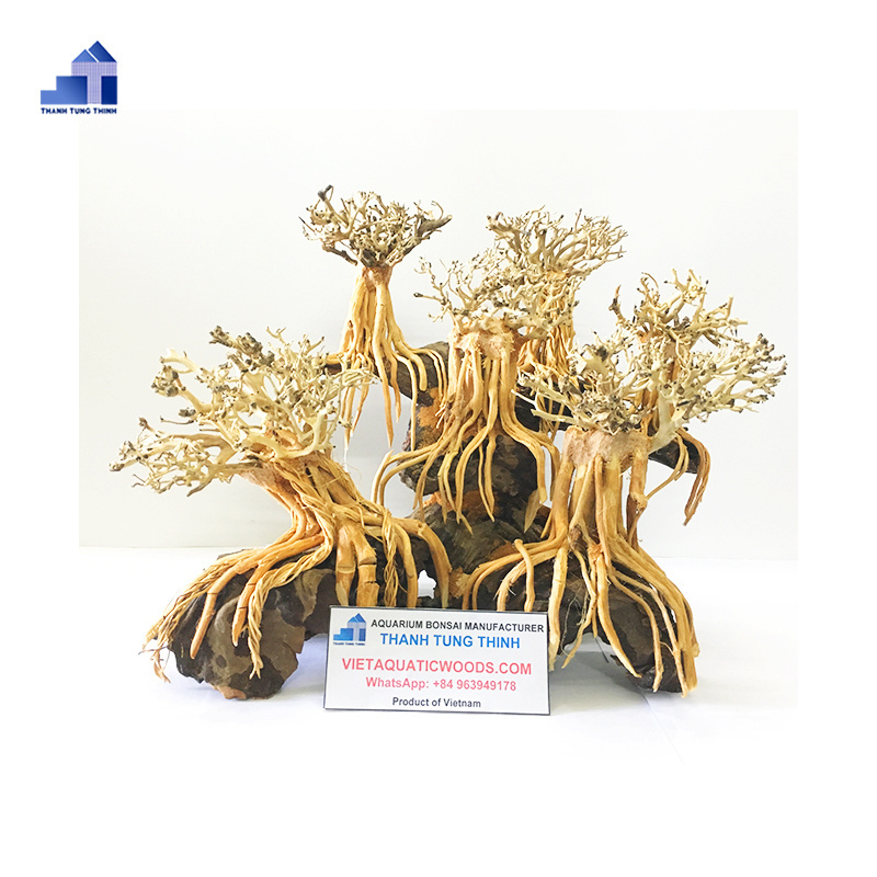 Hot Items Bonsai Driftwood aquarium driftwood Aquatic Moss Tree for Aqua Freshwater Aquascape  WhatsApp: +84 961005832