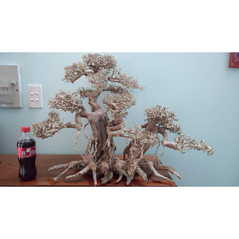 2023 Bonsai Driftwood for Aquarium Natural Wood Branches Fish Tank Decoration Reptiles Tree Trunk Driftwood WhatsApp +84 9639491