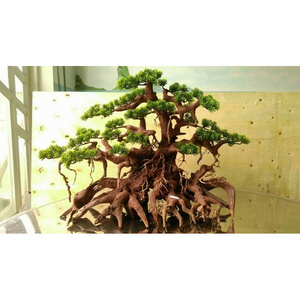 2023 Best selling in Vietnam bonsai driftwood For fish tank accessories WhatsApp: +84 961005832