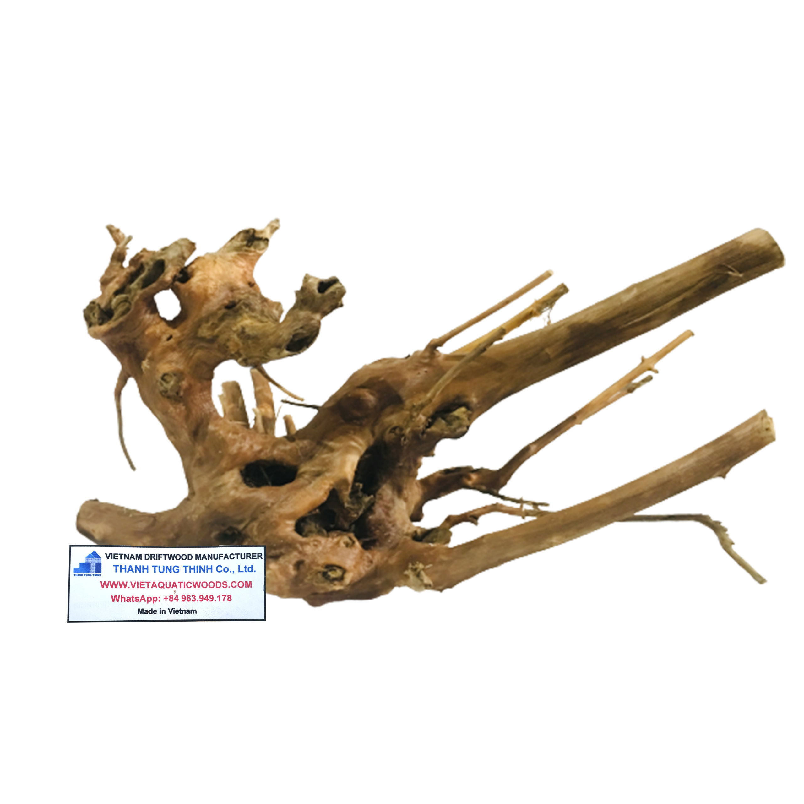 Hot deal Natural Driftwood for  fish tank accessories Aquarium Set Up WhatsApp +84 961005832