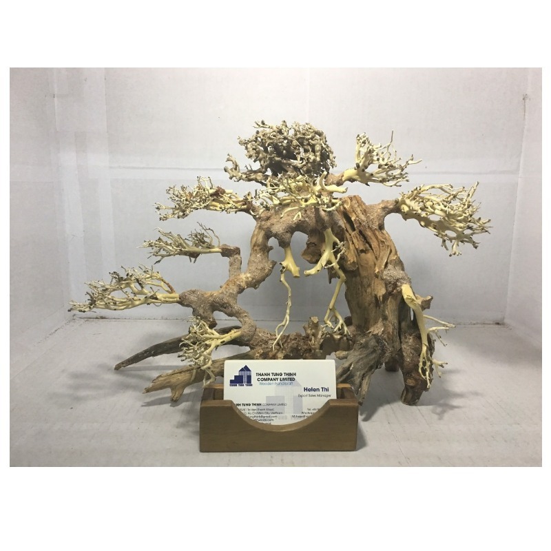 Hot Design 2023 Bonsai Driftwood Mangrove for Decoration WhatsApp +84 961005832