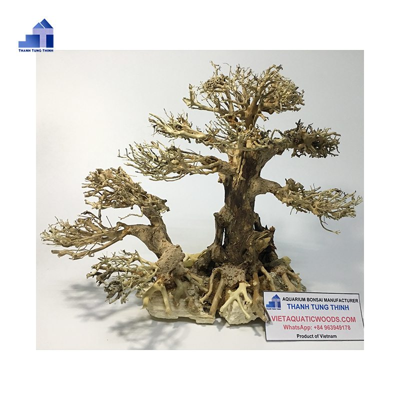 Hot Design 2023  wood decorative mangrove bonsai tree driftwood for aquarium decoration WhatsApp + 84 937545579