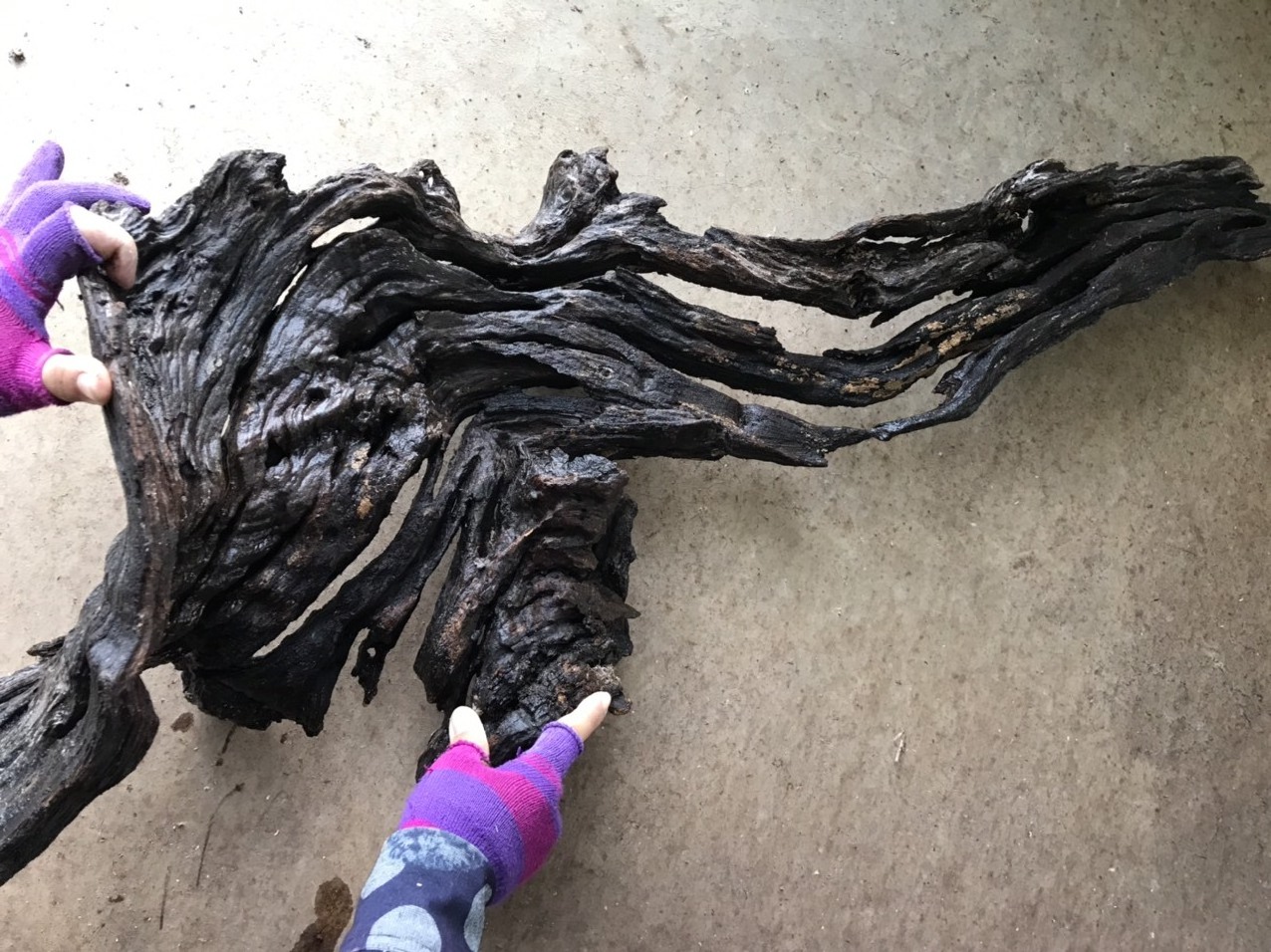 Best seller 2024 SANDA natural driftwood for  your aquarium decor tank Vietnam factory wholesale WhatsApp: +84 961005832