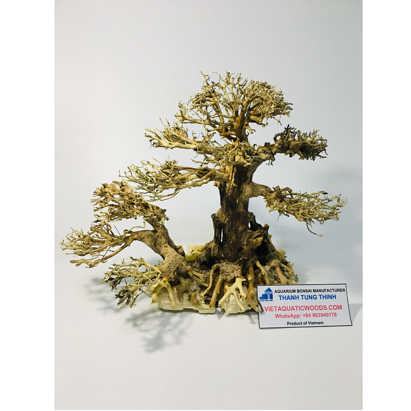 2023 Bonsai Driftwood Aquarium Driftwood Tree for Aquarium Decoration WhatsApp: +84 961005832