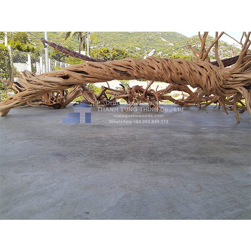 Hot trending Mangrove driftwood Natural Driftwood For Aquarium Accessories WhatsApp: +84 963 949 178