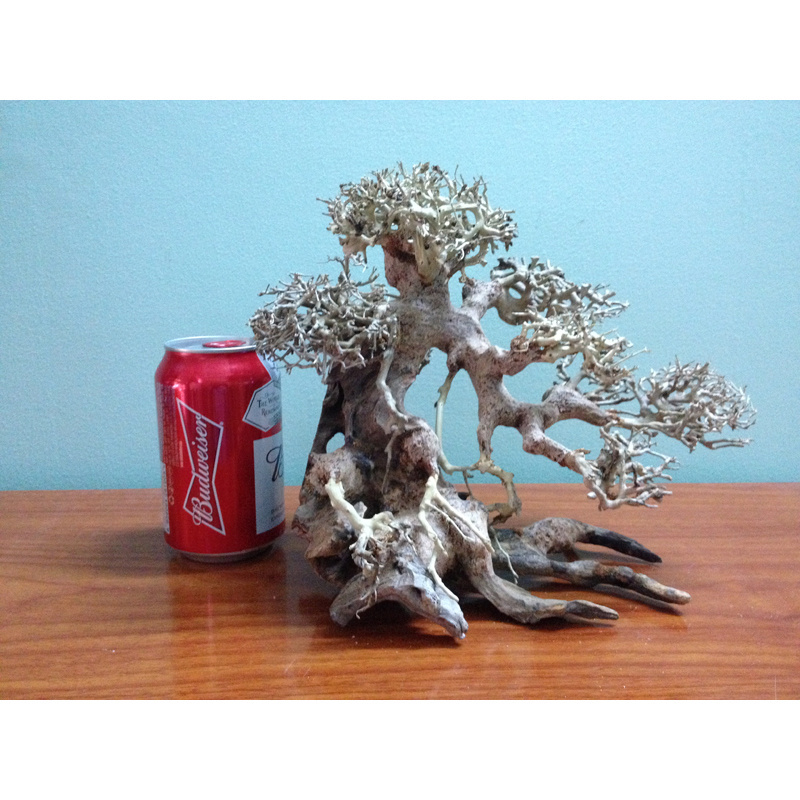 2023 Bonsai driftwood for fish tank aquarium decoration accessories OEM accept WhatsApp +84 961005832