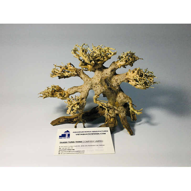 2023 Bonsai Driftwood Aquarium Driftwood Tree for Aquarium Decoration WhatsApp: +84 961005832