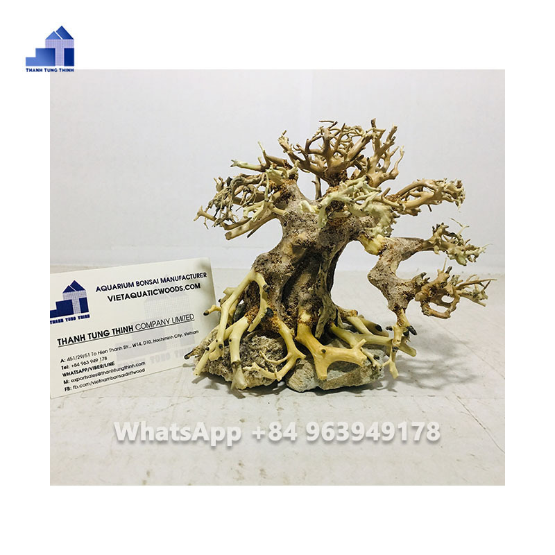 Mangrove root and driftwood Bonsai driftwood Aquarium Tree for aquarium WhatsApp: +84 961005832