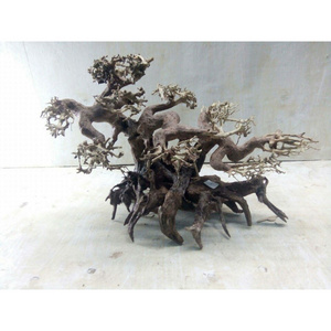 Hot Design 2023 Bonsai Driftwood Mangrove for Decoration WhatsApp +84 961005832