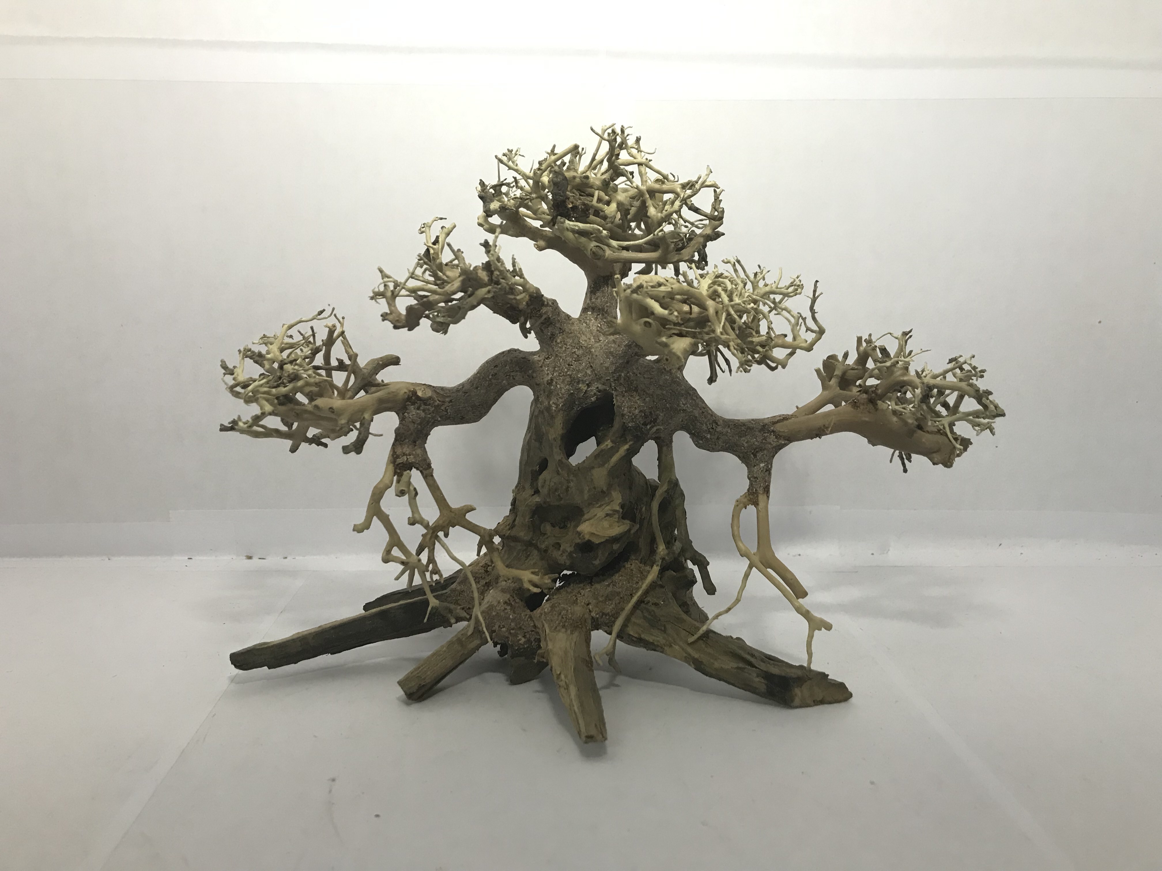 2023 Bonsai driftwood for fish tank aquarium decoration accessories OEM accept WhatsApp +84 961005832