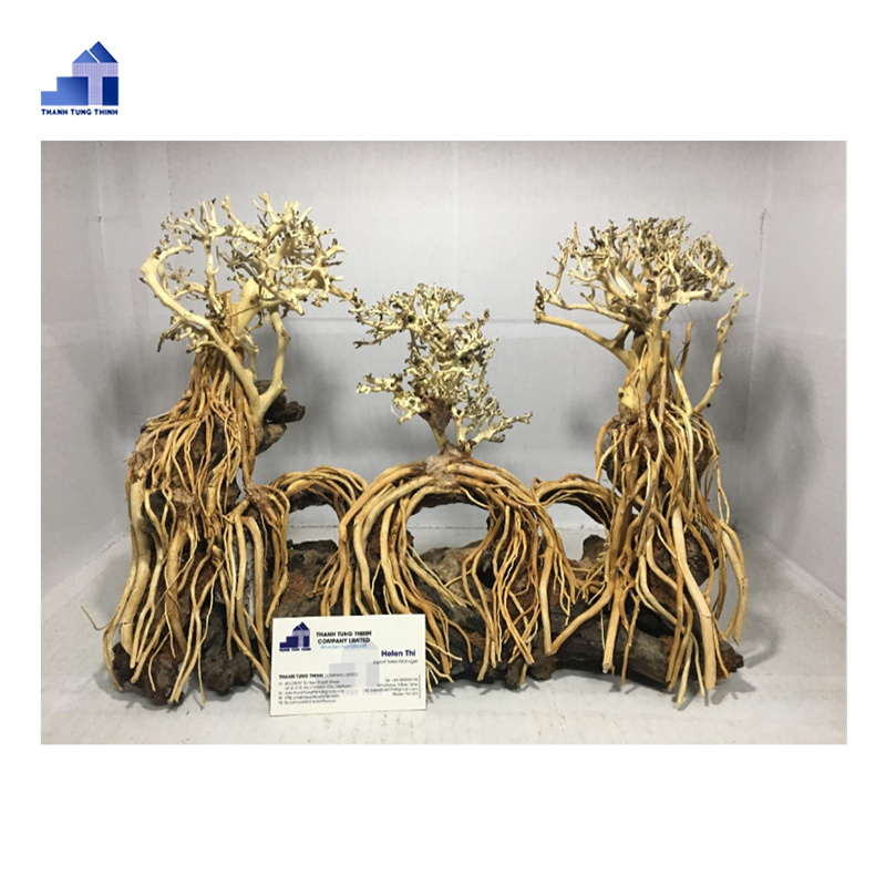 2023 Bonsai Driftwood from natural driftwood For fish tank filter WhatsApp +84 961005832