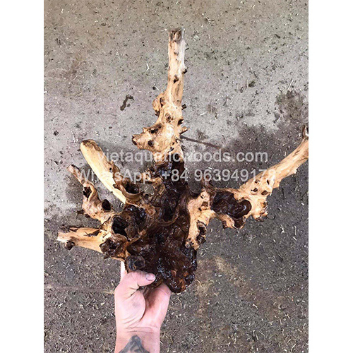 Natural driftwood root aquarium stand For Fish Tank Decoration WhatsApp +84 963 949 178