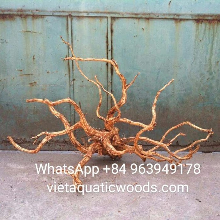 Aquarium driftwood Natural Driftwood Tree for Fish Tank Ornament 2023 WhatsApp +84 963 949 178