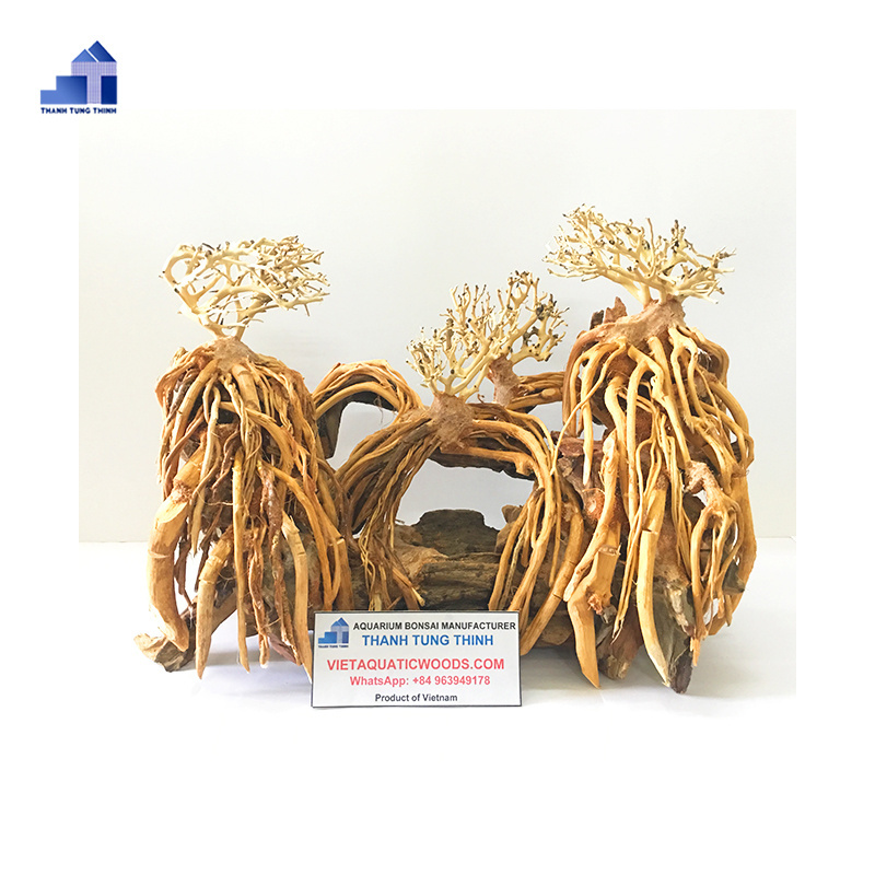 Hot Items Bonsai Driftwood aquarium driftwood Aquatic Moss Tree for Aqua Freshwater Aquascape  WhatsApp: +84 961005832